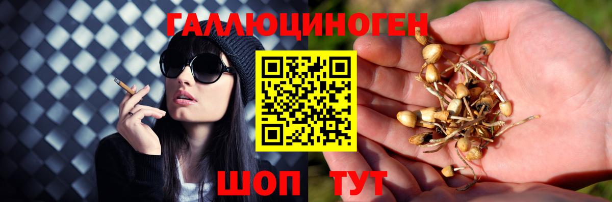 Псилоцибиновые грибы Magic Shrooms Артём